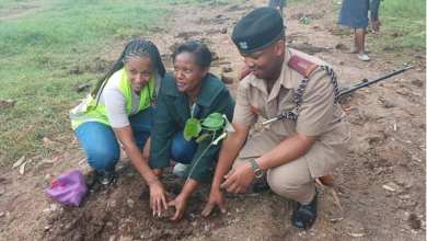 NCBA Celebrates World Environment Day with 12,300 Tree Donations, 10 Million Tree Goal