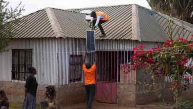 Two Kenyan companies, d.light and Keep It Cool, are finalists for the £1 million 2024 Earthshot Prize in climate innovation.