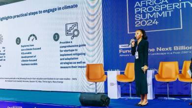 Ventures Platform's white paper advocates climate-resilient business models, leveraging African startups and venture capital to address climate challenges sustainably.