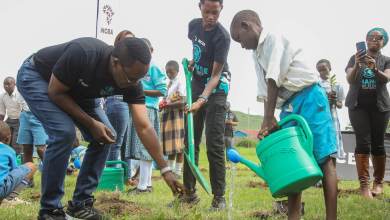 NCBA PLANTS 10,000 TREES IN NAKURU COUNTY TO MARK WORLD ENVIRONMENT DAY