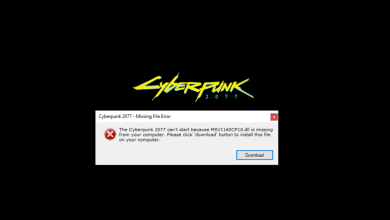 Fans of much awaited 'Cyberpunk 2077' targeted by cyber-fraudsters